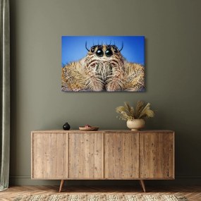 Tablou cu detalii a unui pâianjen (90x60 cm)