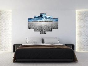 Tablou cu câmp (150x105 cm)