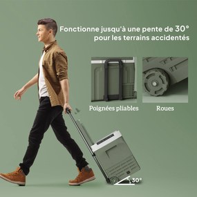 Outsunny Ladă frigorifică electrică portabilă 40 L frigider portabil pentru mașină moduri ECO/MAX mâner telescopic 61x39x49,5cm gri | Aosom Romania