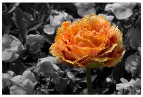 Tablou cu floare (90x60 cm)