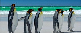 Tablou - Grup de pinguini regali (120x50 cm)