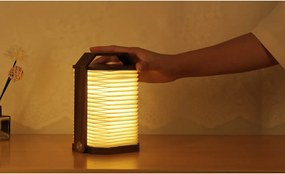 Decorațiune luminoasă albă/în culoare naturală închisă cu USB Origami – Gingko