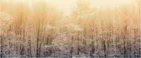 Tablou cu pădure geroasă (120x50 cm)