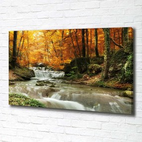 Tablou canvas Cascada din pădure