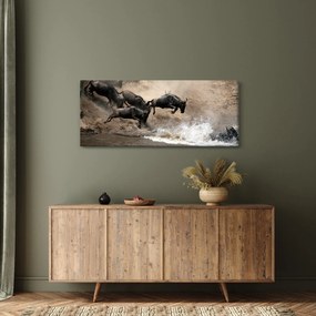 Tablou - Turmă de gnu (120x50 cm)