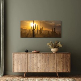 Tablou - Cactuși Saguaro (120x50 cm)