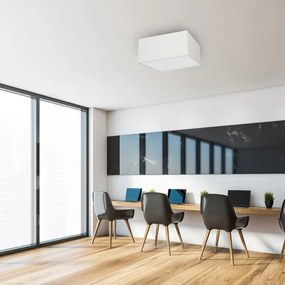 Plafonieră ALBION 3xE27/60W/230V