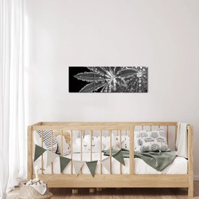 Tablou - Picături (cu ceas) (90x30 cm)