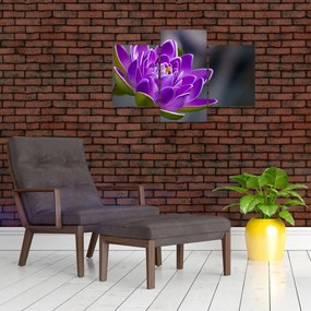 Tablou floarei (90x60 cm)
