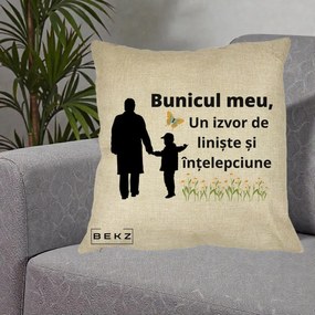 Cadou pentru Bunic - Perna Personalizata Bunicul Meu Izvor de Liniste cu Fluture si Baietel, 40x40 cm, Crem, Husa Detasabila, Perna Inclusa, BEKZ®
