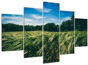 Tablou cu linca și pădure (150x105 cm)