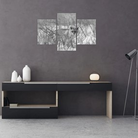 Tablou - Vulpe,alb-negru (90x60 cm)