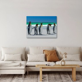 Tablou - Grup de pinguini regali (70x50 cm)