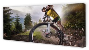 Tablouri canvas Cloud mountain bike