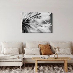 Tablou - Macro,alb-negru (90x60 cm)