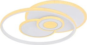 Globo 48442-50SH - Plafonieră LED dimabilă RODERICK 50W/230V 46x54,5 cm+telecomandă