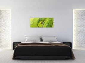 Tablou cu șarpe (120x50 cm)