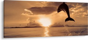 Tablou - Delfin la apus de soare (120x50 cm)