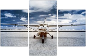 Tablou cu aeroplan cu motor (90x60 cm)