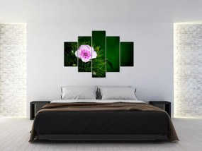 Tablou cu floare roz (150x105 cm)