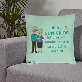 Cadou pentru Bunici - Perna Personalizata Bunicii Iubirea Infloreste Cuplu Senior Teal, 40x40 cm, Verde Menta, Husa Detasabila, Perna Inclusa, BEKZ®