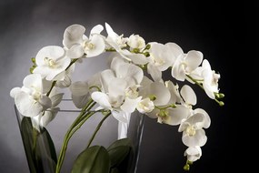 Aranjament floral elegant TROPICAL PLANT 1141378.95