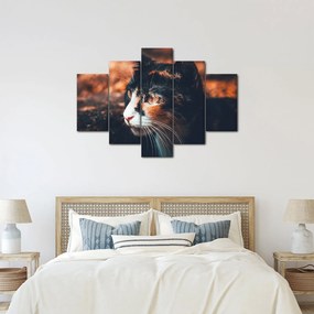 Tablou - Privirea pisicii (150x105 cm)