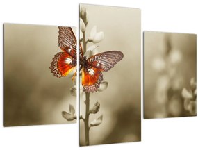 Tablou cu fluture (90x60 cm)