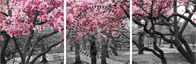 Tablou copacului magnolie (cu ceas) (90x30 cm)