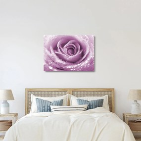 Tablou pe sticlă detaliu de floare de trandafir (70x50 cm)