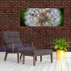 Tablou cu păpădie (120x50 cm)