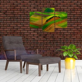 Tablou - Lan, luncile (90x60 cm)
