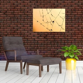 Tablou cu pânză de pâianjen cu rouă (70x50 cm)