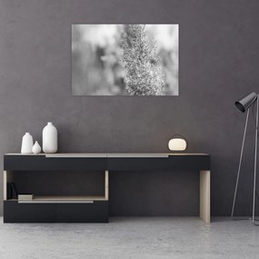 Tablou - Iarbă de pampas Boho (90x60 cm)
