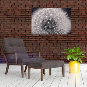 Tablou cu păpădie (90x60 cm)