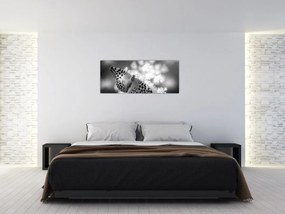 Tablou - Detailu cu fluture care polenizează floare (120x50 cm)
