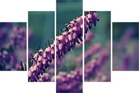 Tablou cu floare violetă (150x105 cm)