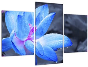 Tablou florilor în detailu (90x60 cm)