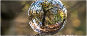 Tablou - Reflecție intr-o sferă transparentă (120x50 cm)