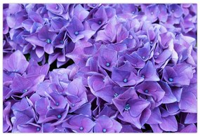Tablou cu flori violete (90x60 cm)