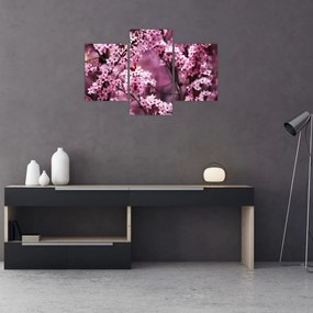 Tablou - Sakura roz (90x60 cm)