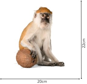 PIPPER. Autocolante pentru mobilier „Animale adevărate”