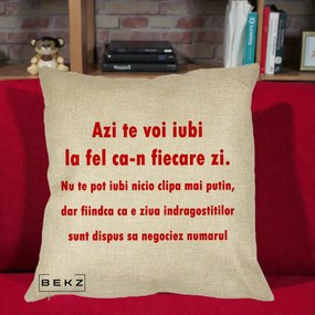 Cadou pentru Iubita - Perna Personalizata Azi Te Voi Iubi, 40x40 cm, Crem, Husa Detasabila, Perna Inclusa, BEKZ®