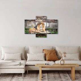 Tablou cu leu (90x60 cm)