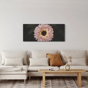 Tablou cu floare portocalie (120x50 cm)