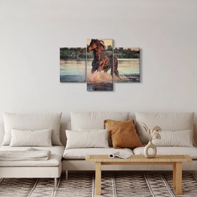 Tablou - Cal care aleargă (90x60 cm)