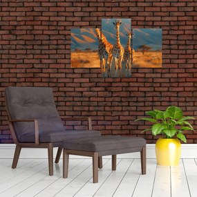 Tablou - Girafe pe pășune (90x60 cm)