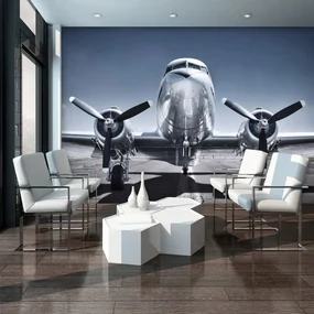 Fototapet - Avion (152,5x104 cm), în 8 de alte dimensiuni noi