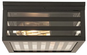 Plafoniera moderna pentru exterior cu sticlă neagră cu 2 lumini IP44 - Reims