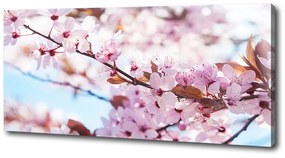 Tablou pe pânză Flori de cireș